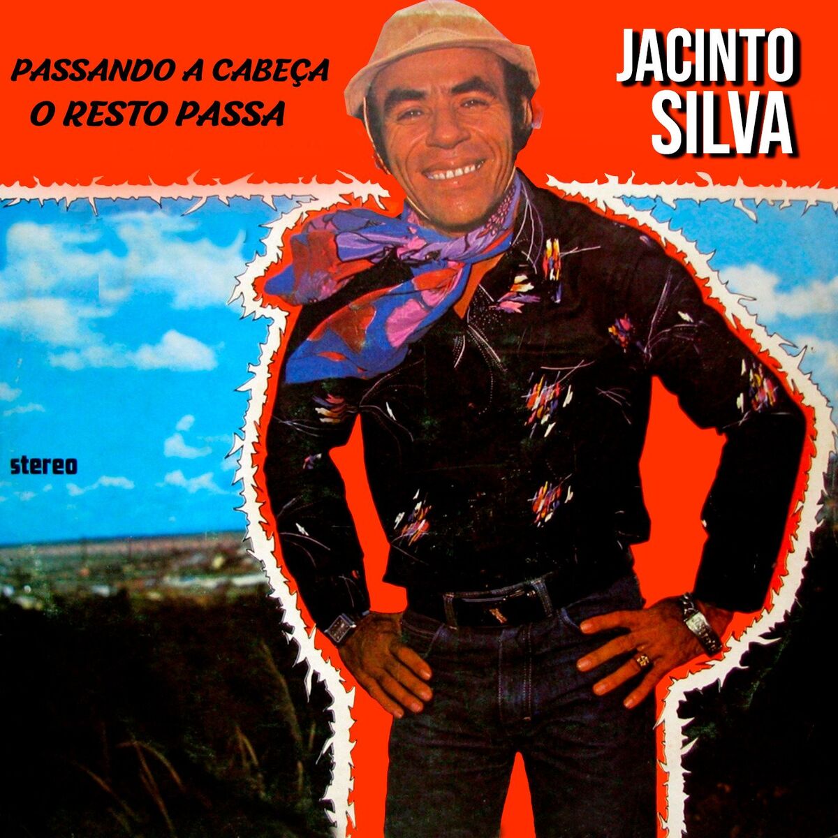 Album cover of Passando a Cabeça o Resto Passa