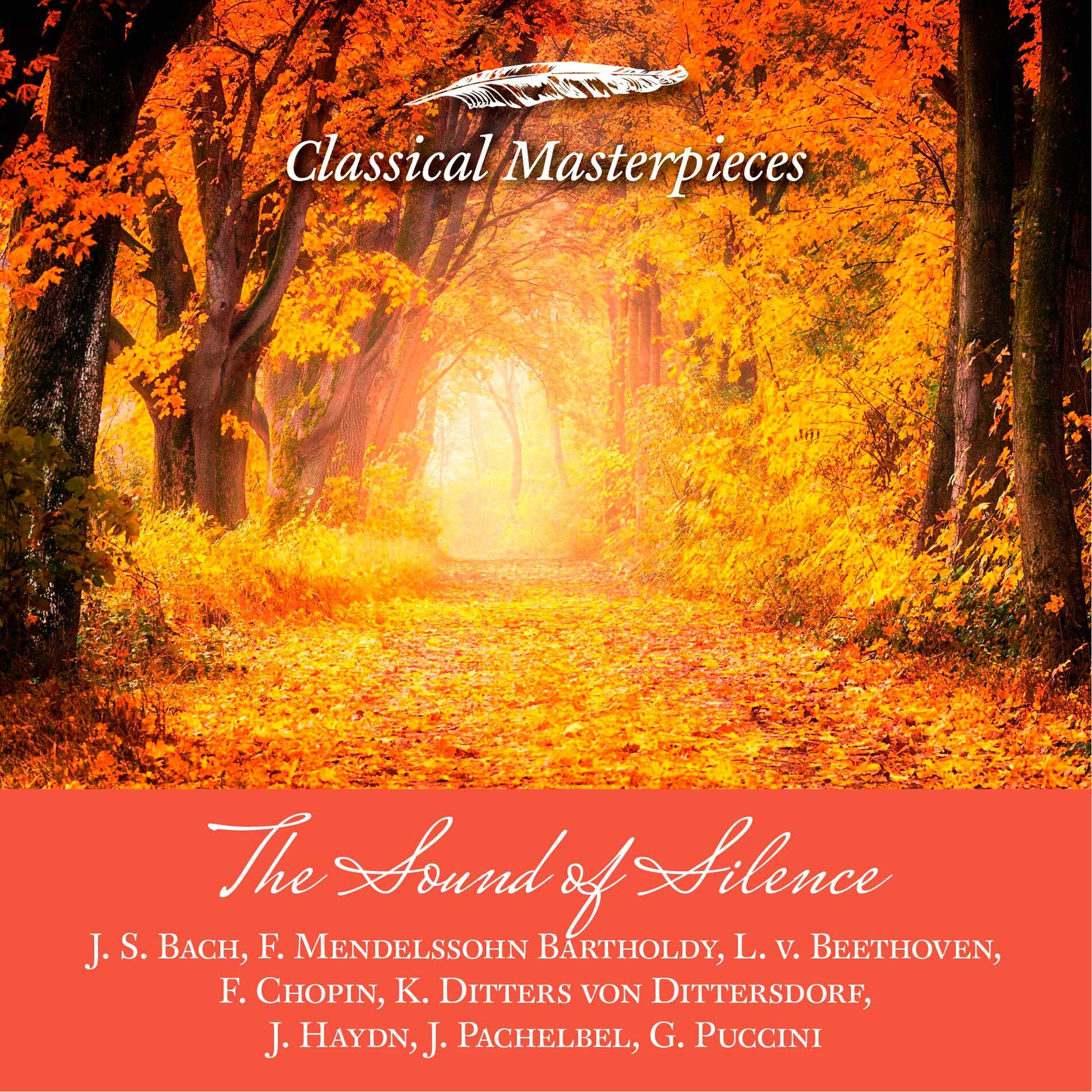 Album cover of The Sound of Silence -J. S. Bach,F. Mendelssohn Barholdy, L. v. Beethoven, f. Chopin, K. Ditters von Dittersdorf,J. Haydn, J. Pach (Classical Masterpieces)