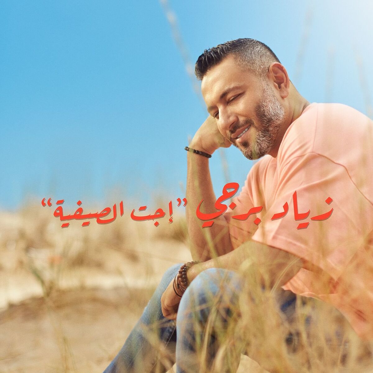 Album cover of Ejet l Sayfiyi