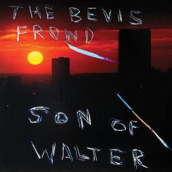 Cover of Son of Walter