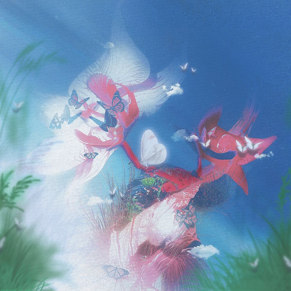 Picture of Novae Gemmae