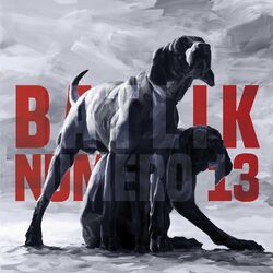 Cover of Numéro 13