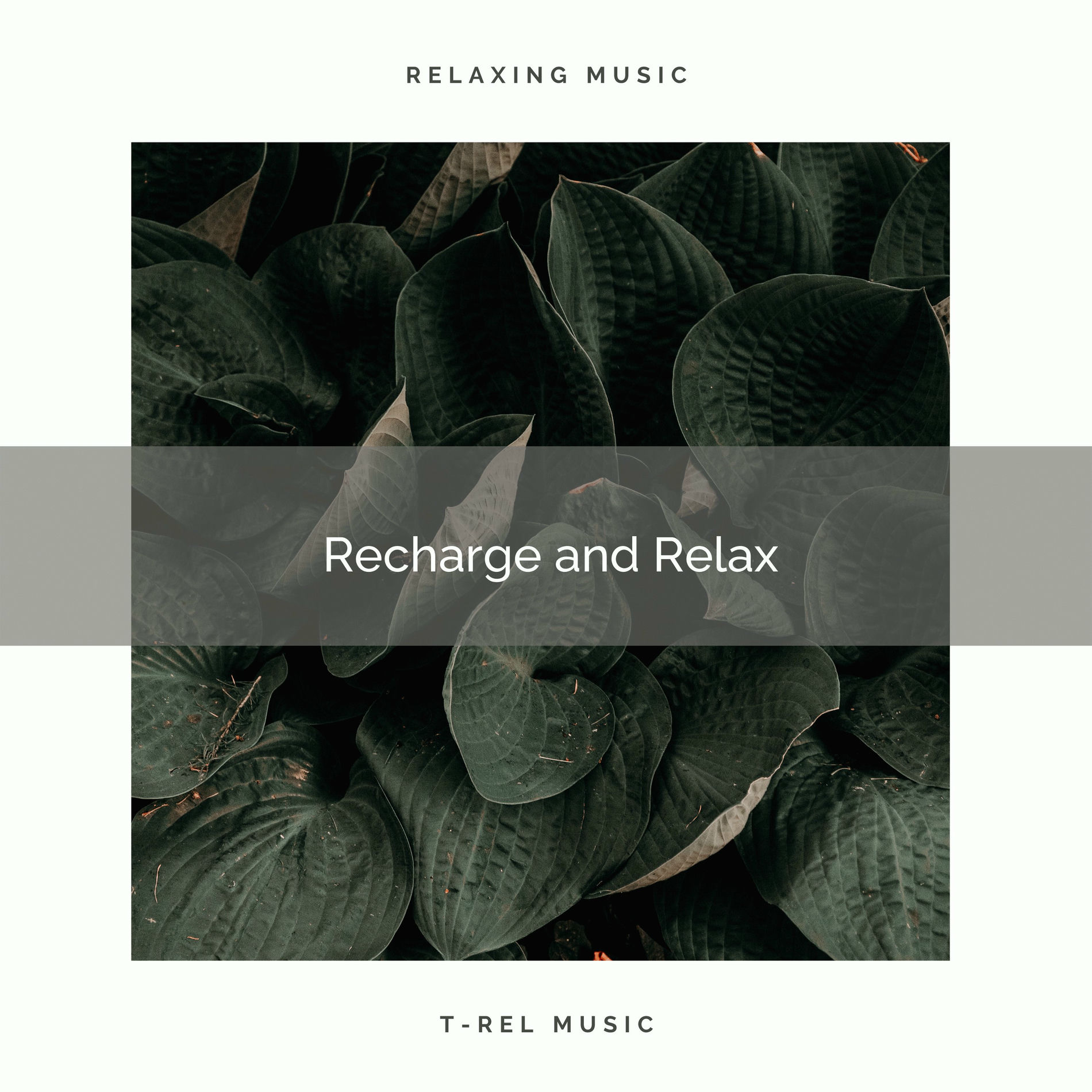 Album cover of ! ! ! ! ! Recharge and Relax