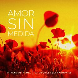 Cover of Amor Sin Medida (Mijangos Latin House Remix)
