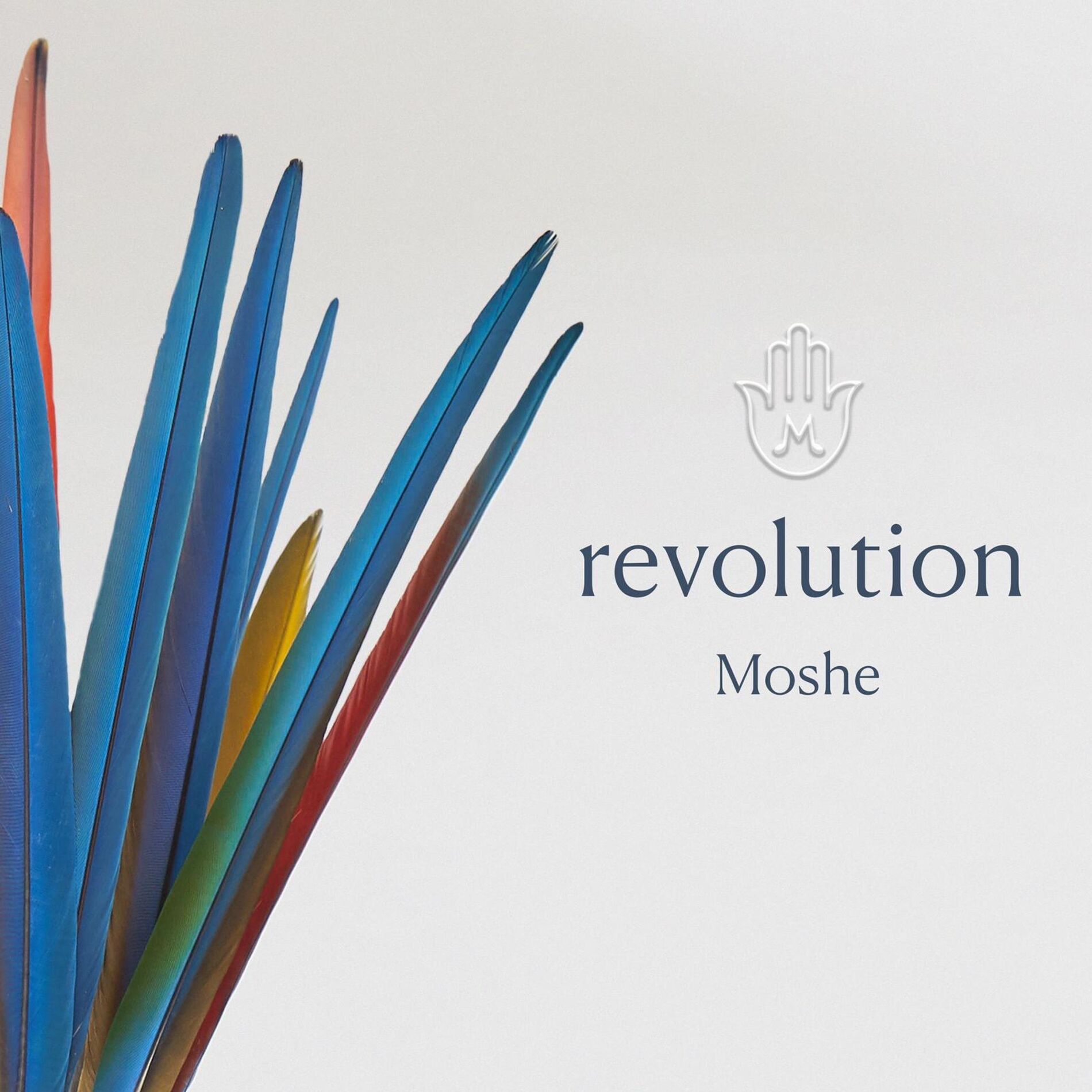 Album cover of Revolution (feat. Nessi Gomes)