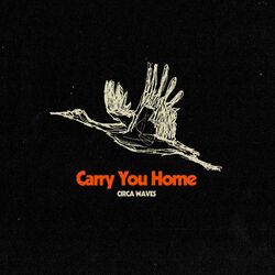 Cover of Carry You Home
