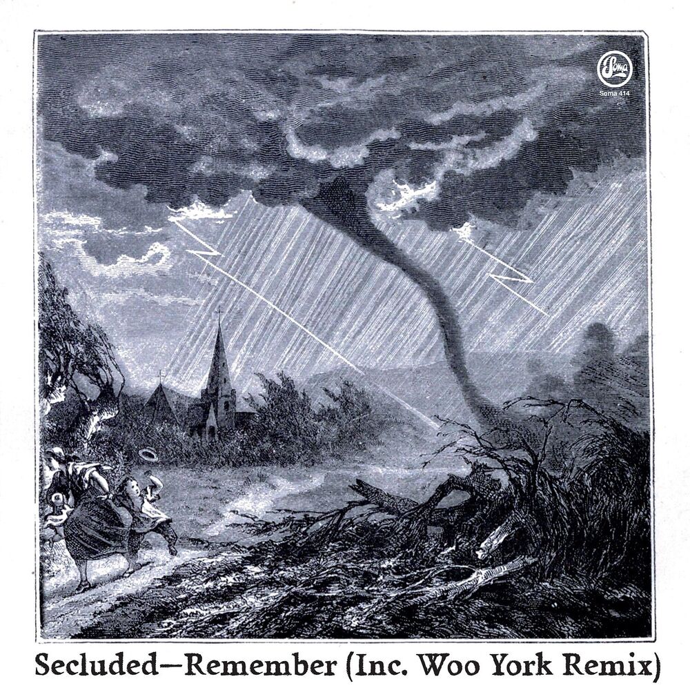 Picture of Remember (Inc Woo York Remix)