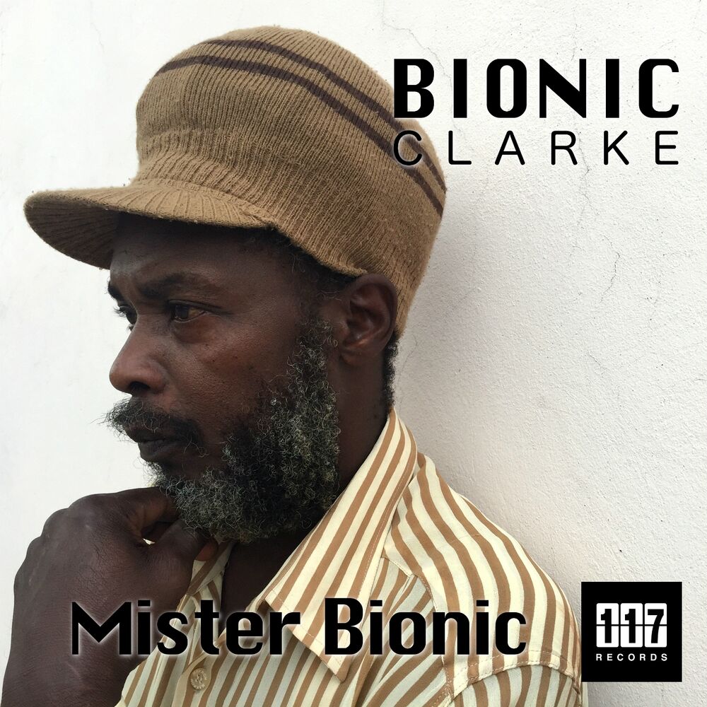 Picture of Mr. Bionic