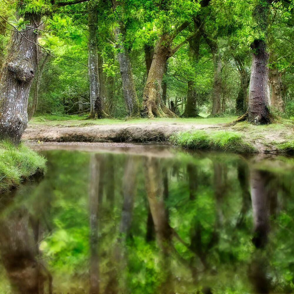 Picture of Mystic Waters: Enchanting Tunes Inspired by Mysterious Waters