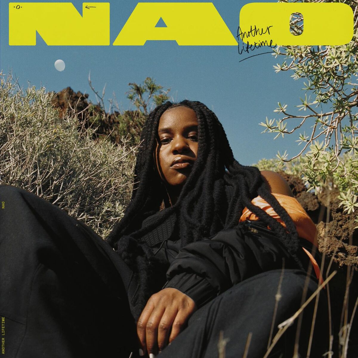 Album cover of Another Lifetime