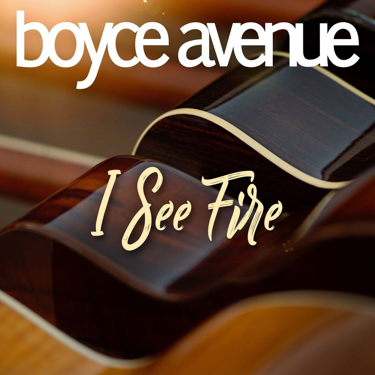 Album cover of I See Fire