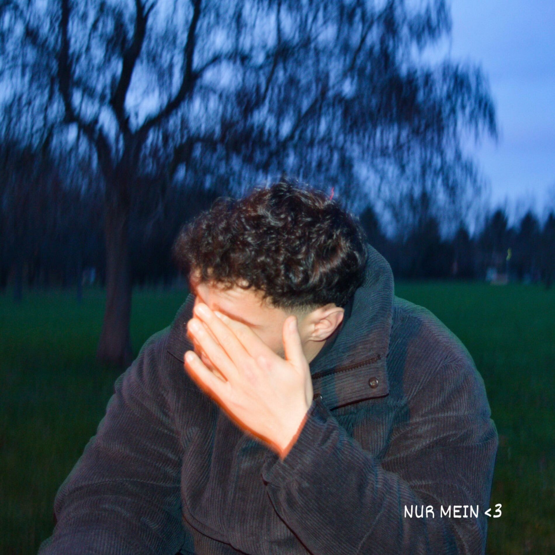 Album cover of Nur mein Herz