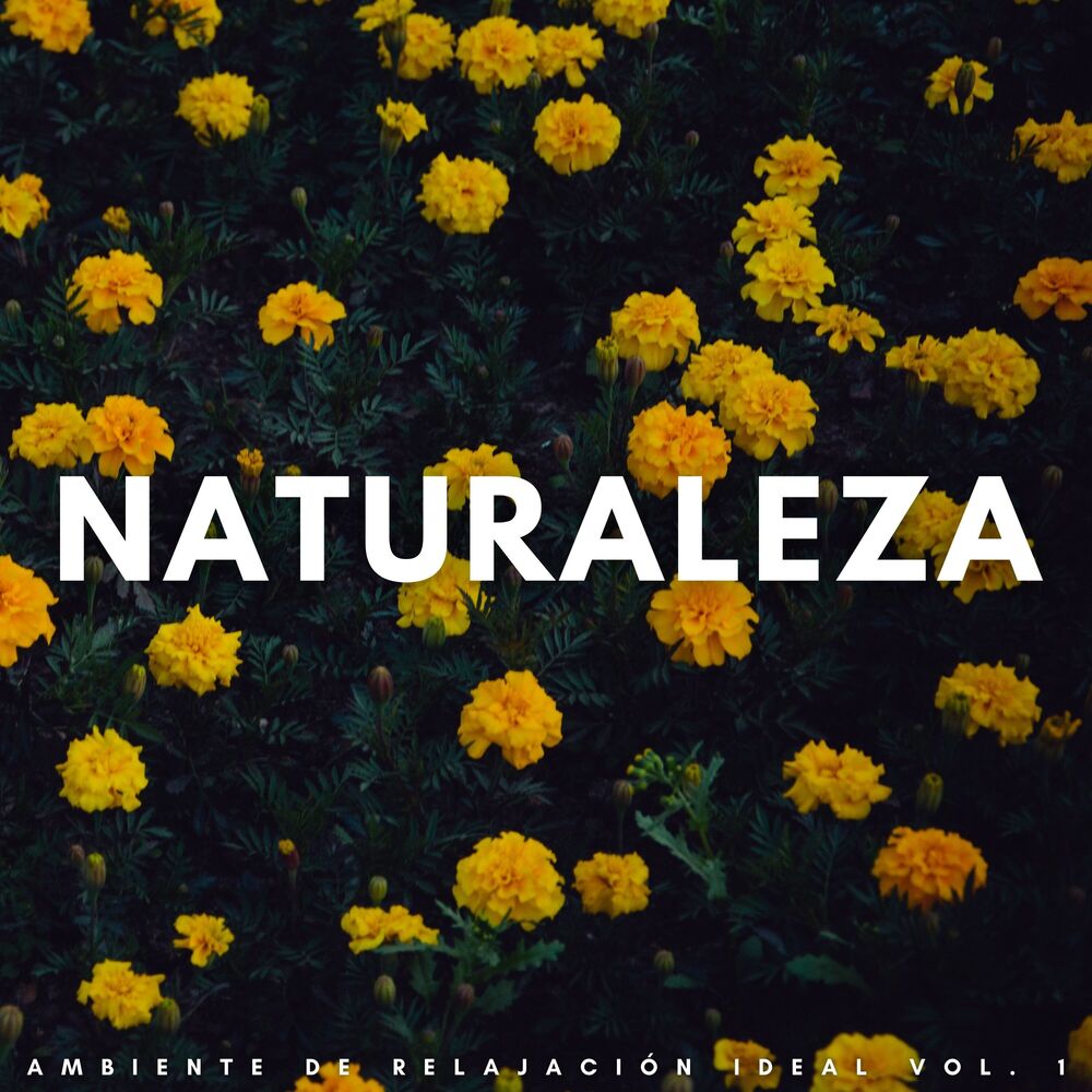 Picture of Naturaleza: Ambiente De Relajación Ideal Vol. 1