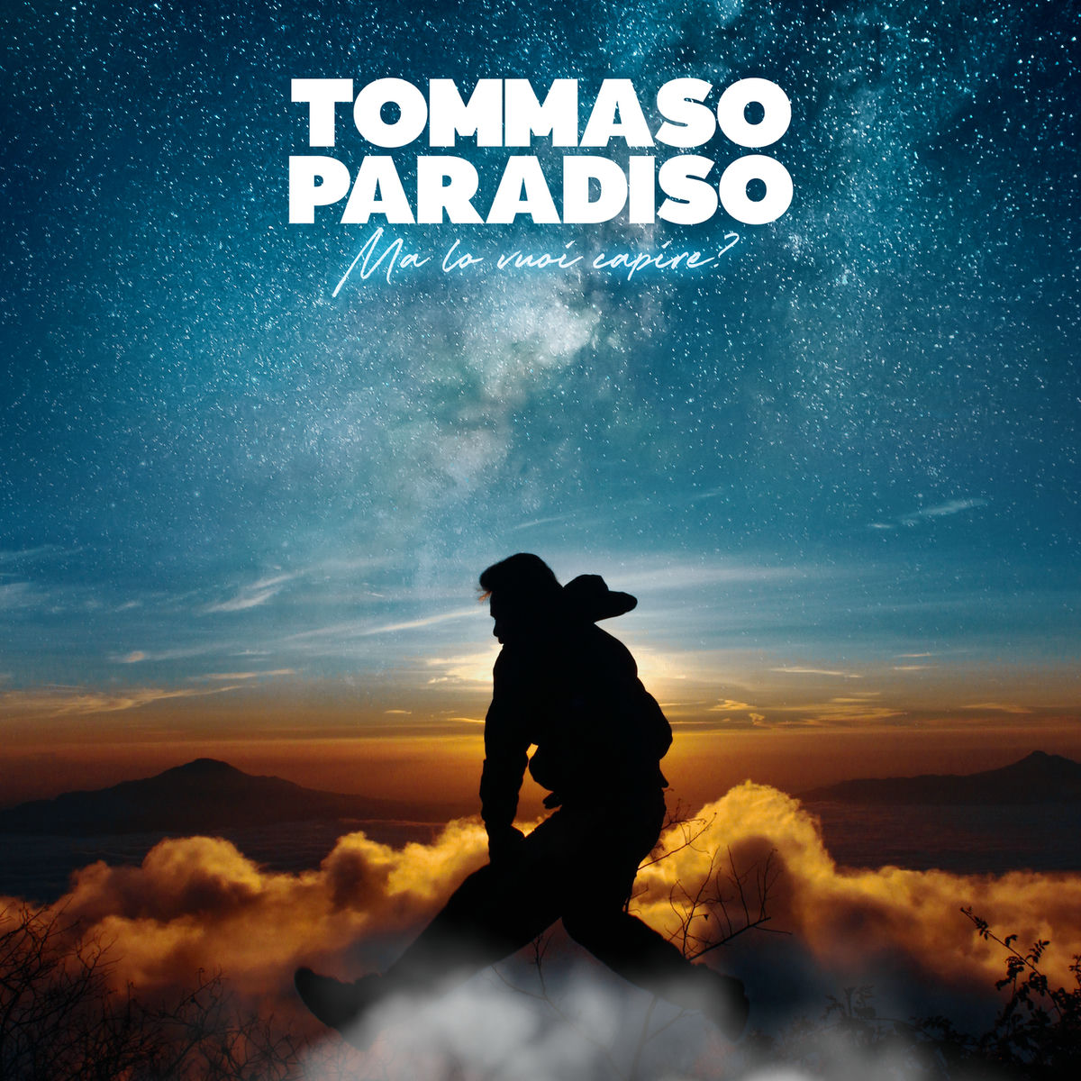 Album cover of Ma lo vuoi capire?