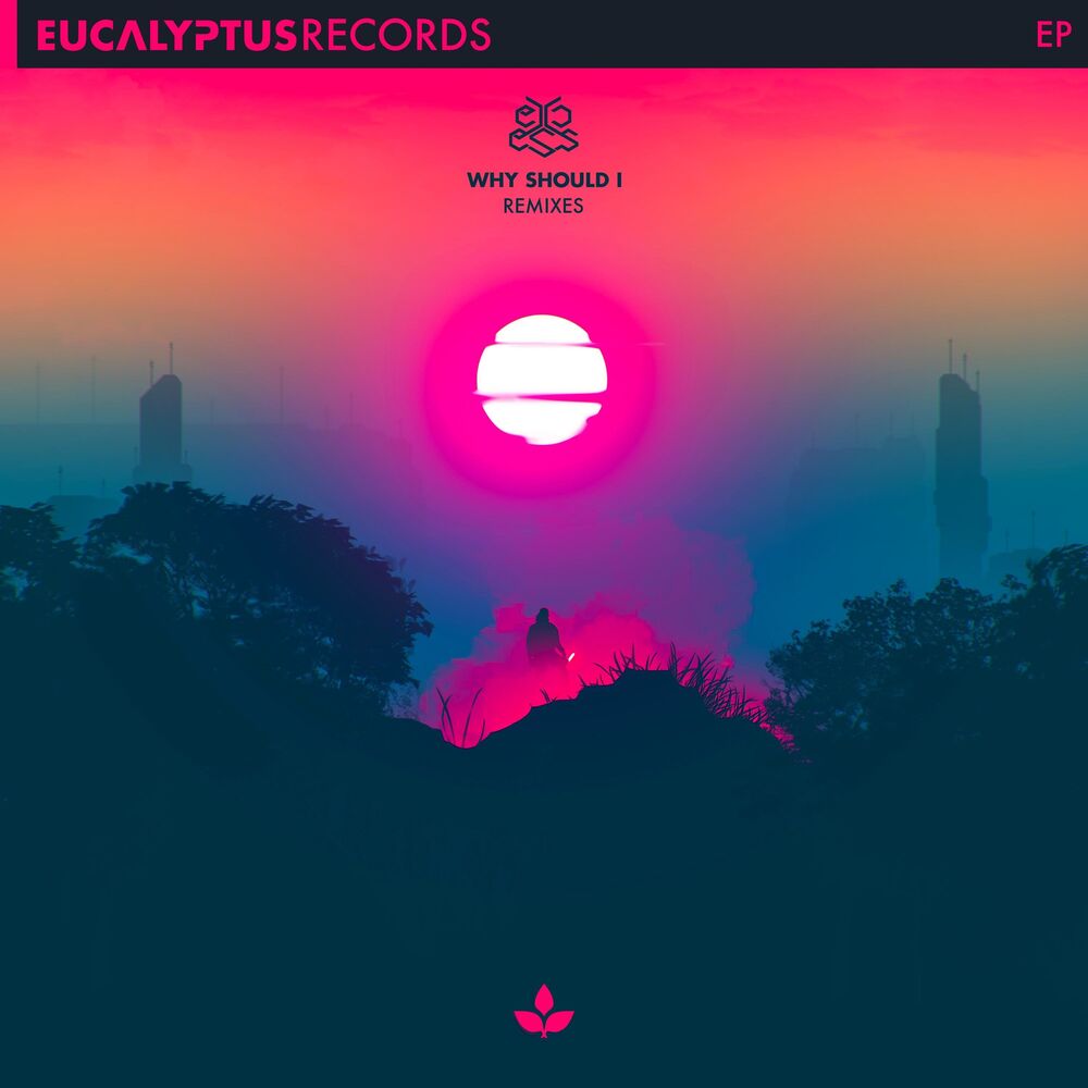 Picture of Why Should I - Remixes