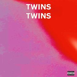 Cover of Twins