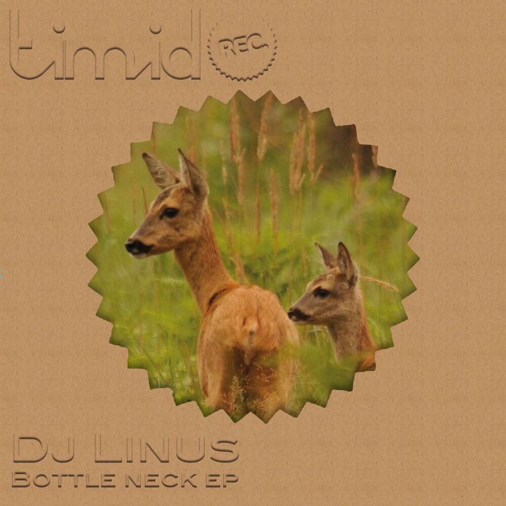 Picture of Bottle Neck EP
