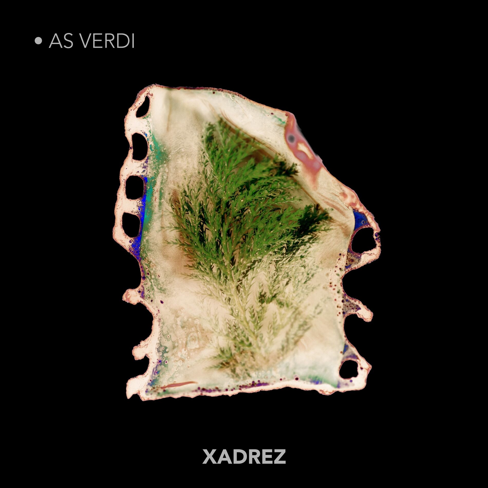 Album cover of Xadrez - As Verdi