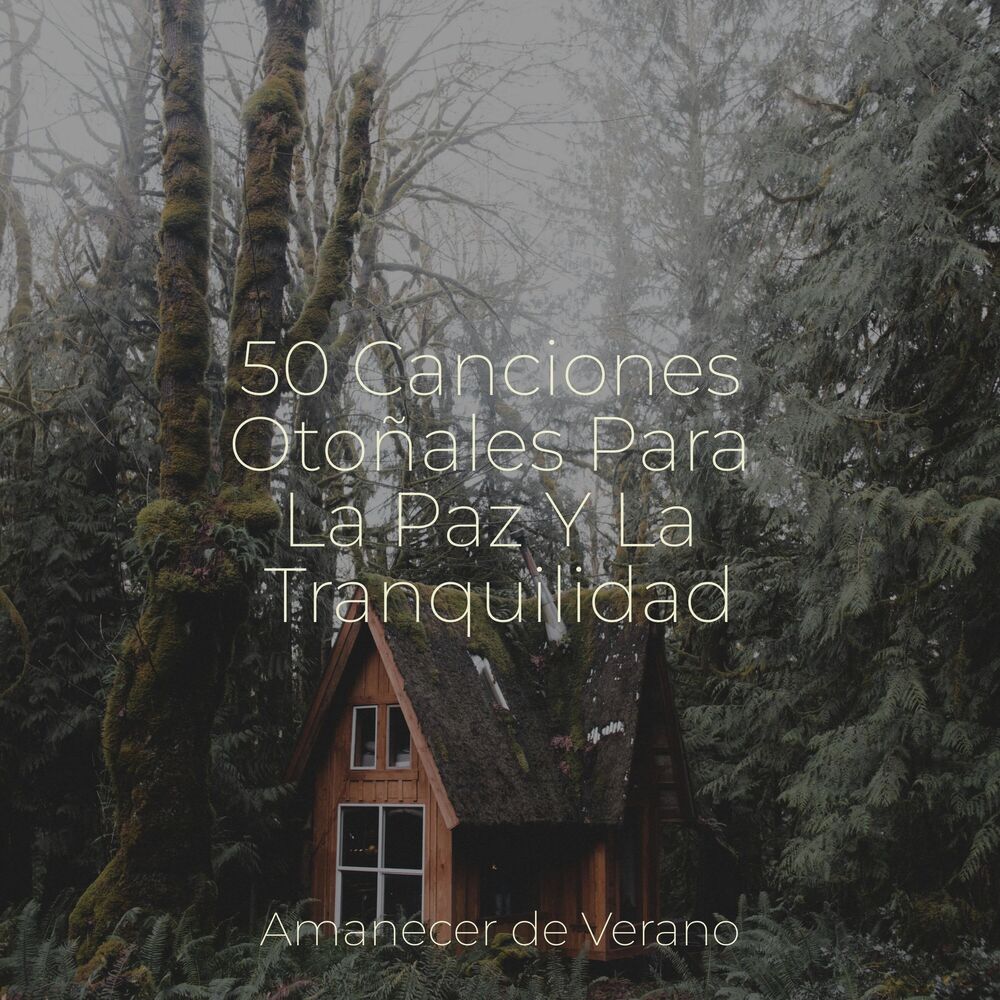 Picture of 50 Canciones Otoñales Para La Paz Y La Tranquilidad