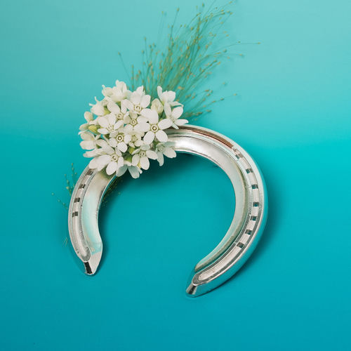 Underhorse (Half-acoustic Ver.) artwork