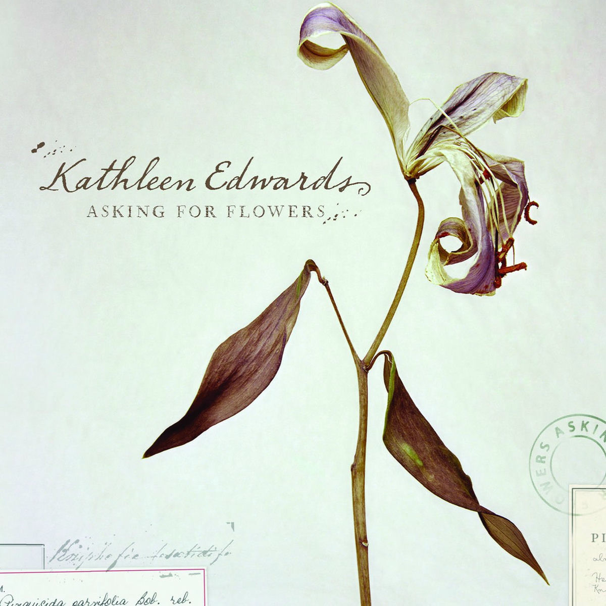 Album cover of Asking for Flowers