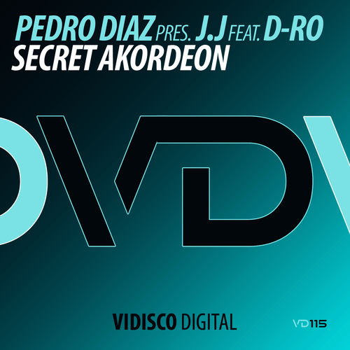 Secret Akordeon sleeve