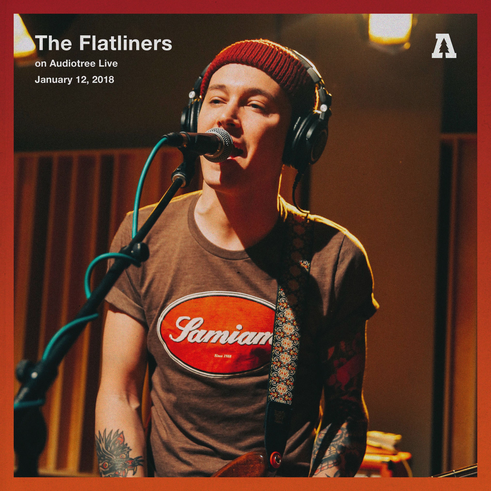 Album cover of The Flatliners (Audiotree Live)
