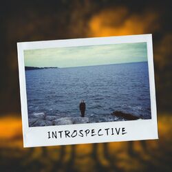 Cover of Introspective