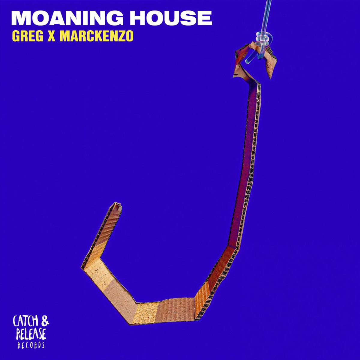 Album cover of Moaning House