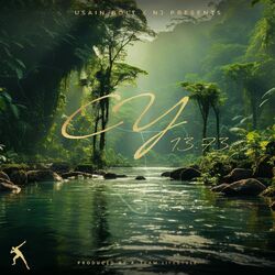 Cover of Usain Bolt & NJ presents: CY13.73