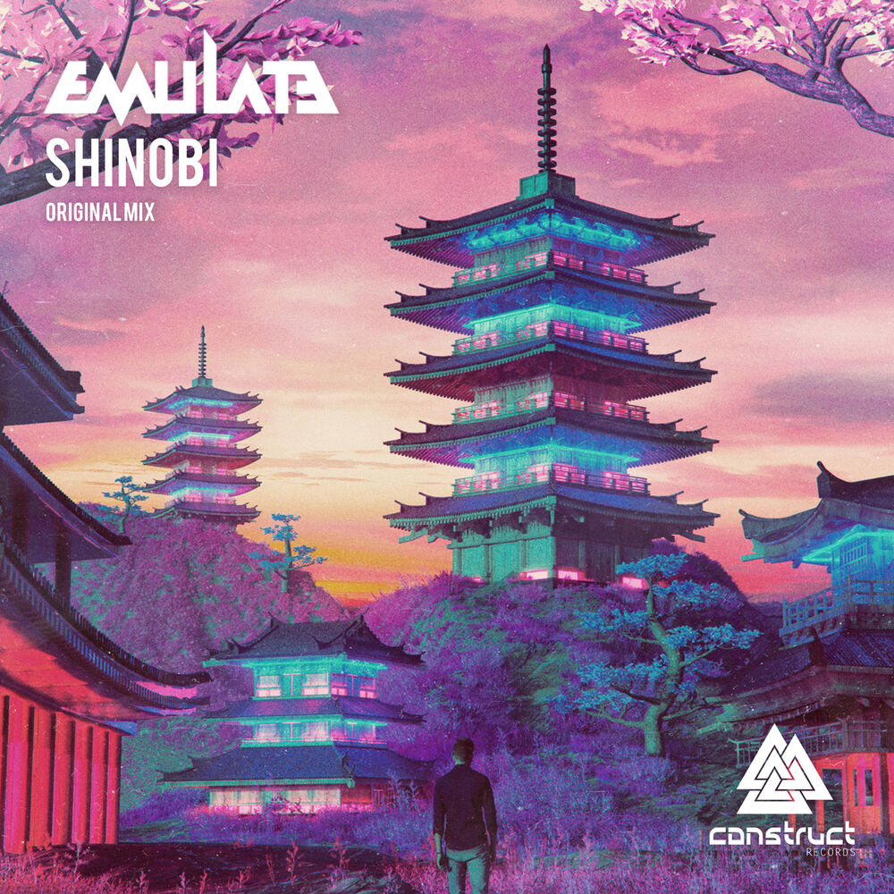 Picture of Shinobi