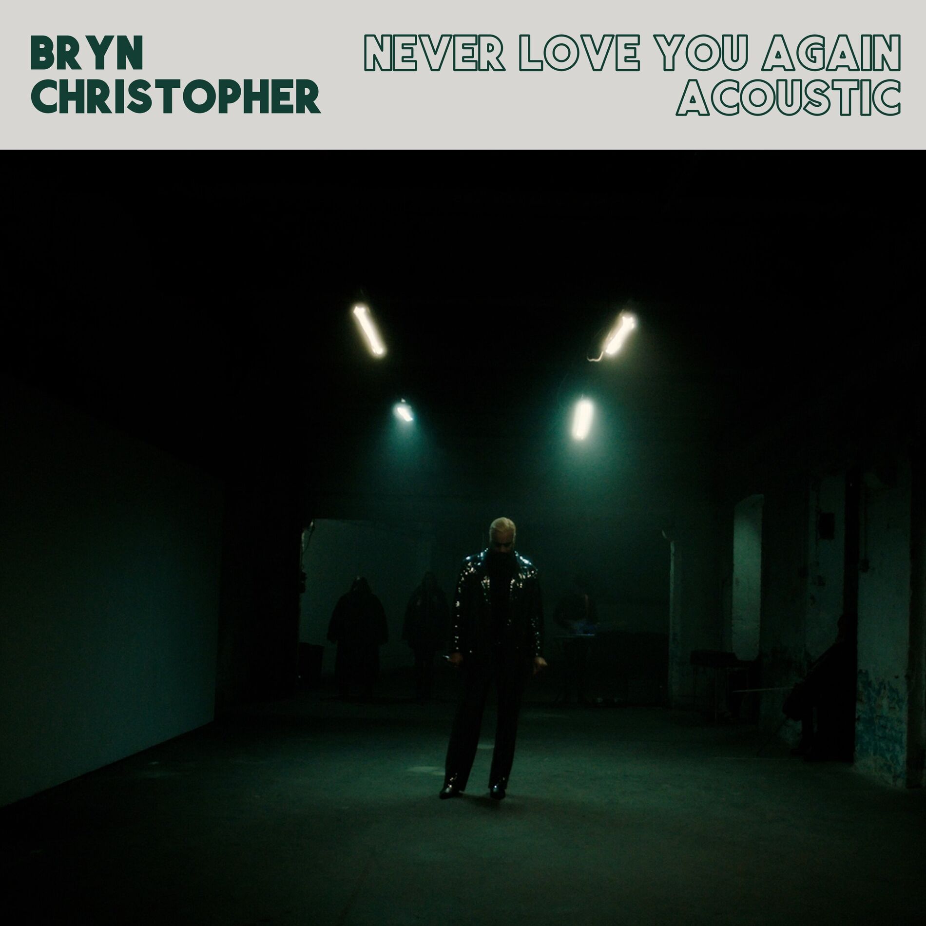 Album cover of Never Love You Again (Acoustic)