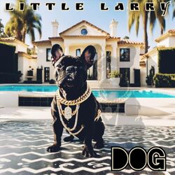 Cover of dog