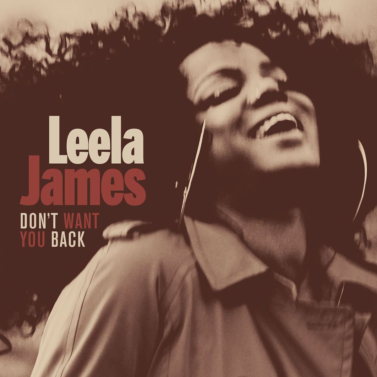 Album cover of Don't Want You Back