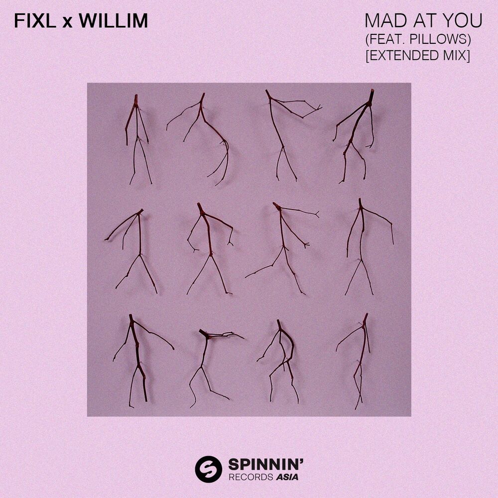 Picture of Mad At You (feat. Pillows) (Extended Mix)
