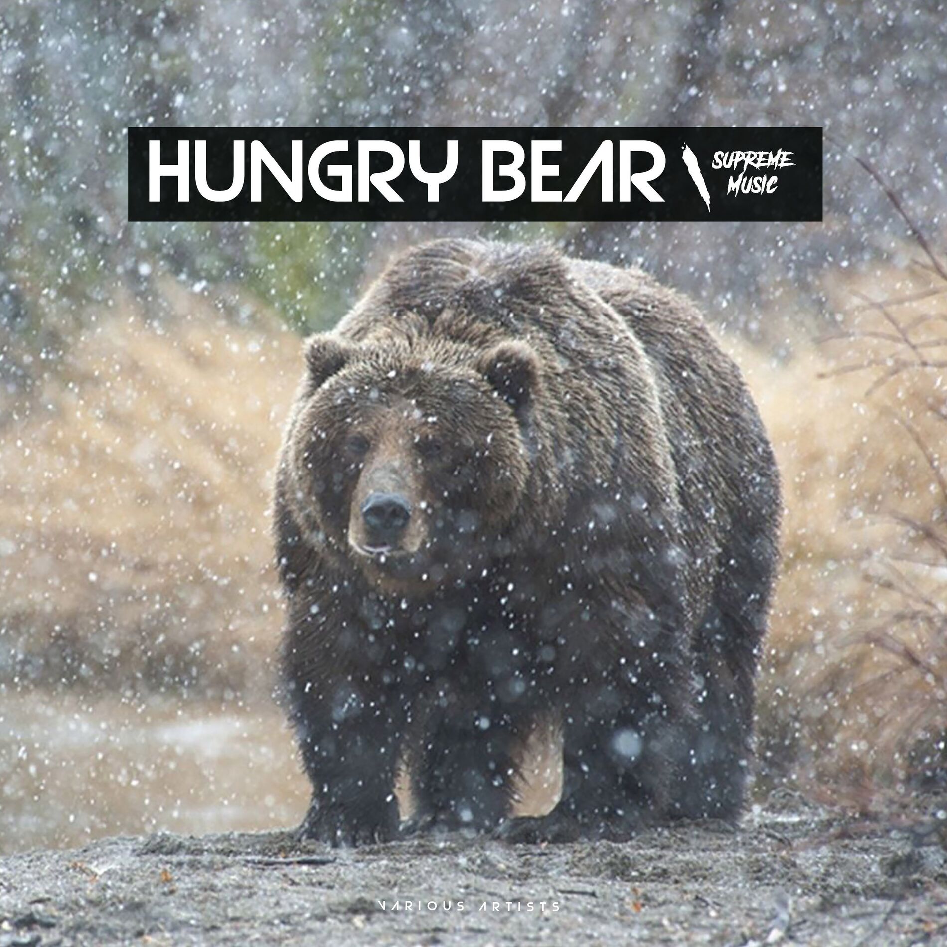 Album cover of Hungry Bear