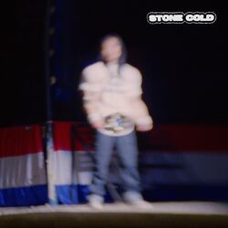 Cover of Stone Cold