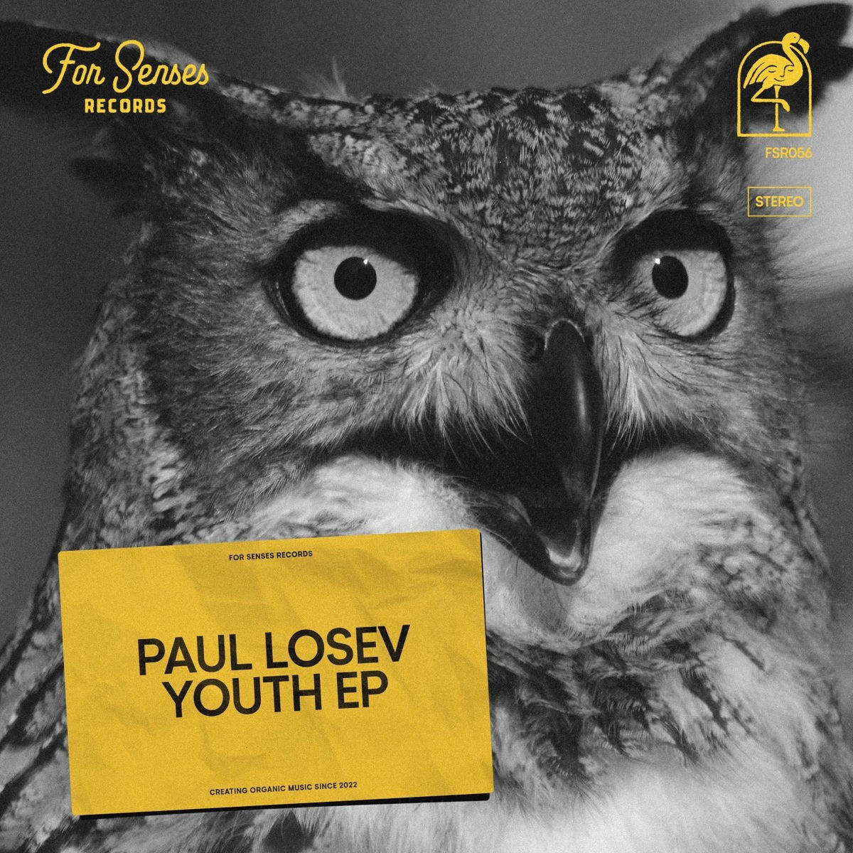 Album cover of Youth