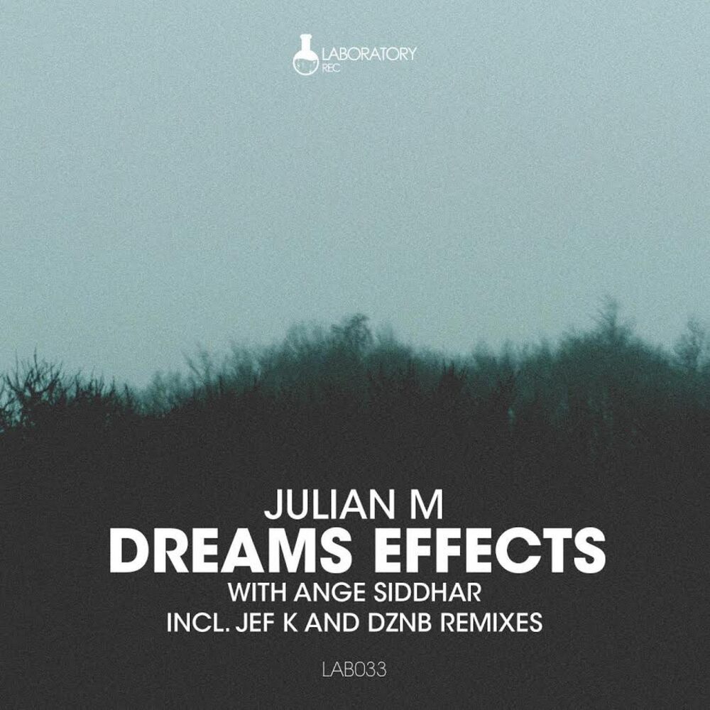 Picture of Dreams Effects
