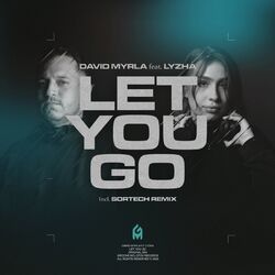 Cover of Let You Go (feat. Lyzha)