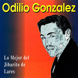 Cover of Lo Mejor del Jibarito de Lares