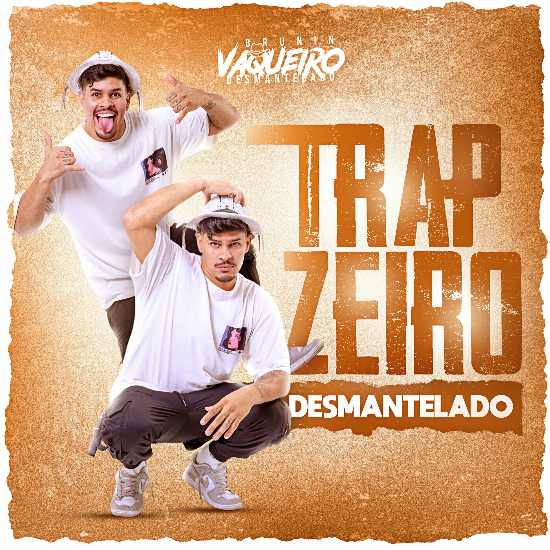 Album cover of Trapzeiro Desmantelado