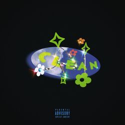 Cover of Clean