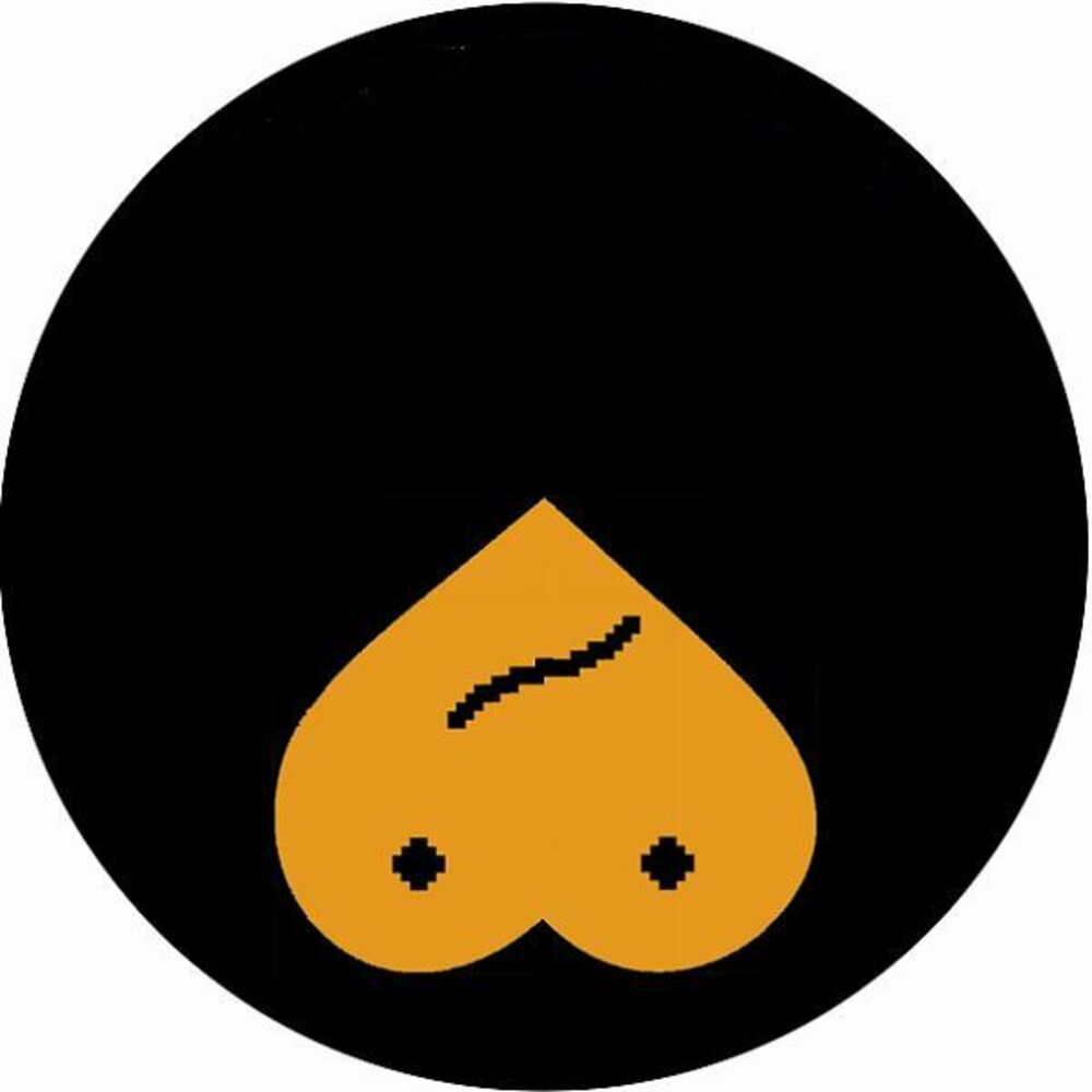 Picture of The History of Acidsex Volume 2