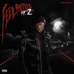 Cover of Feel Alive 2