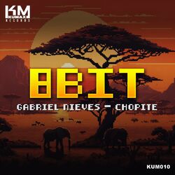 Cover of 8Bit