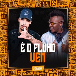 Cover of É o Fluxo Vem