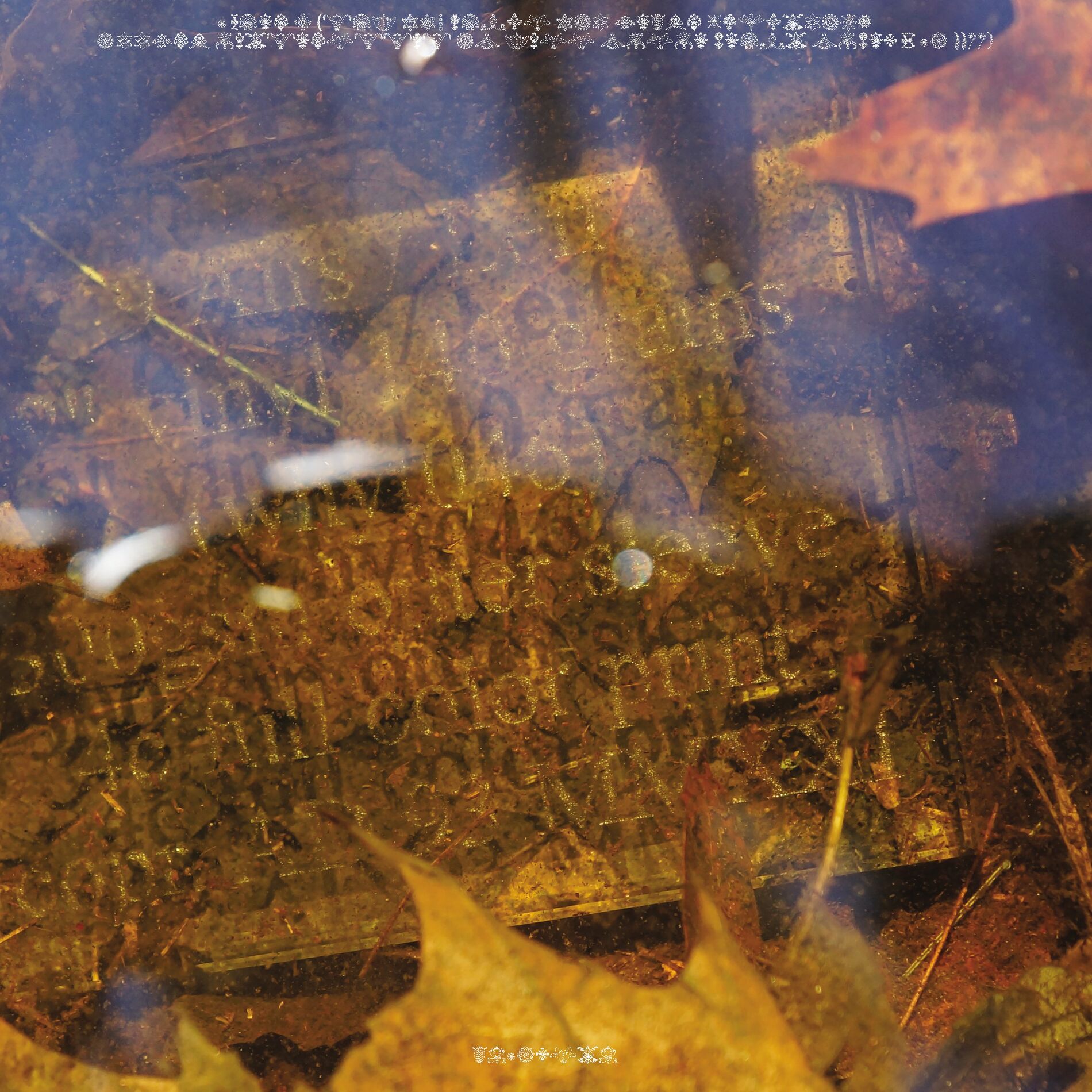 Album cover of 9 Airs