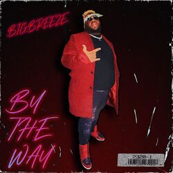 Cover of By The Way