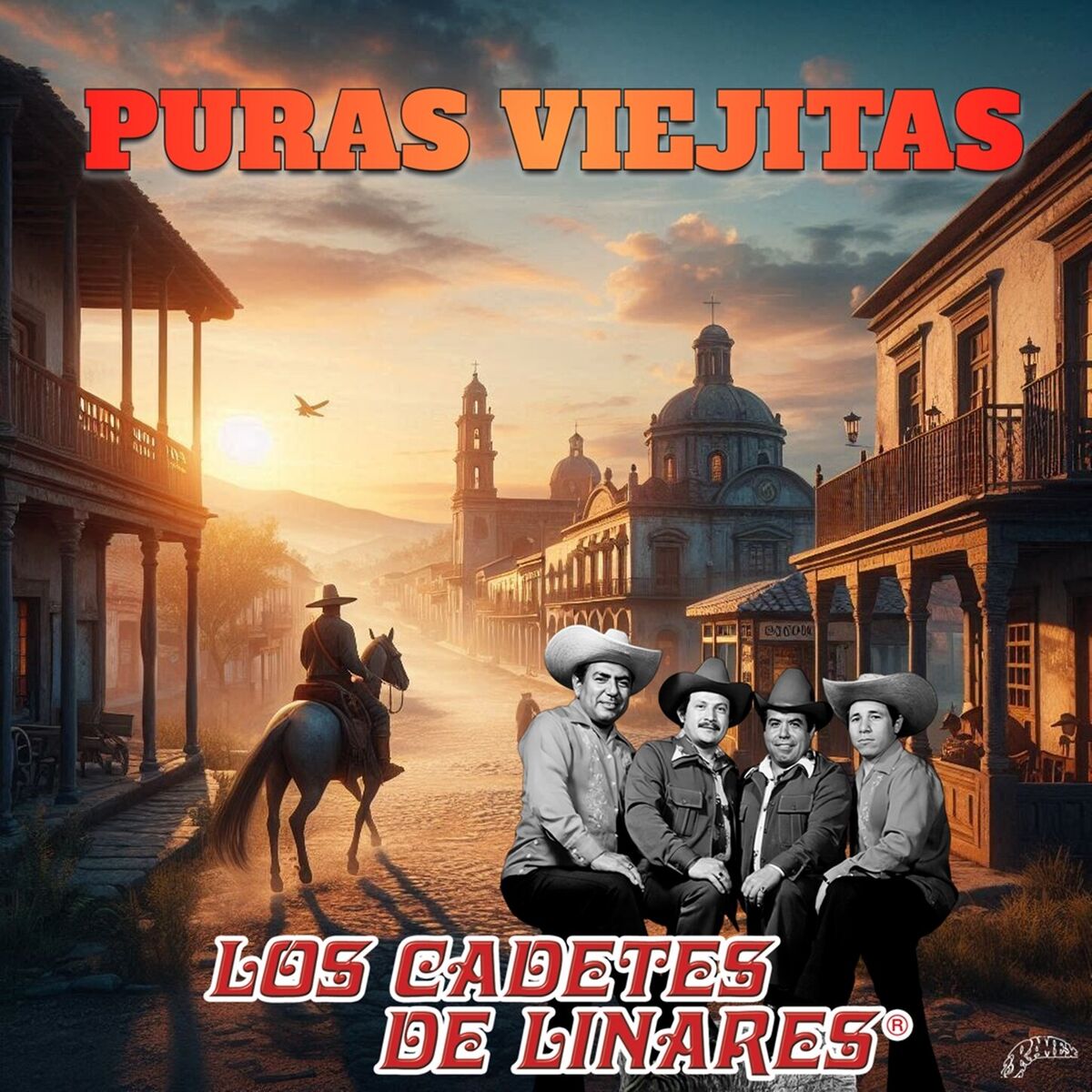 Album cover of Puras Viejitas